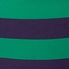 VIVI BIKINI BOTTOM | CABANA STRIPE MULTI 6 VIVI BIKINI BOTTOM | CABANA STRIPE MULTI - Image 6